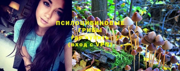 бошки Алексеевка